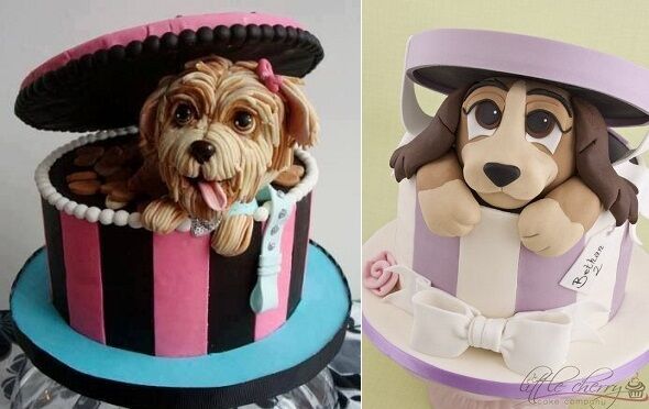 12 Best Dog Cake Recipes: Homemade Cake For Your Pup!