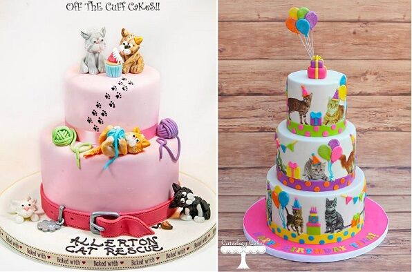 Cute Cat Cake - Amazing Cake Ideas